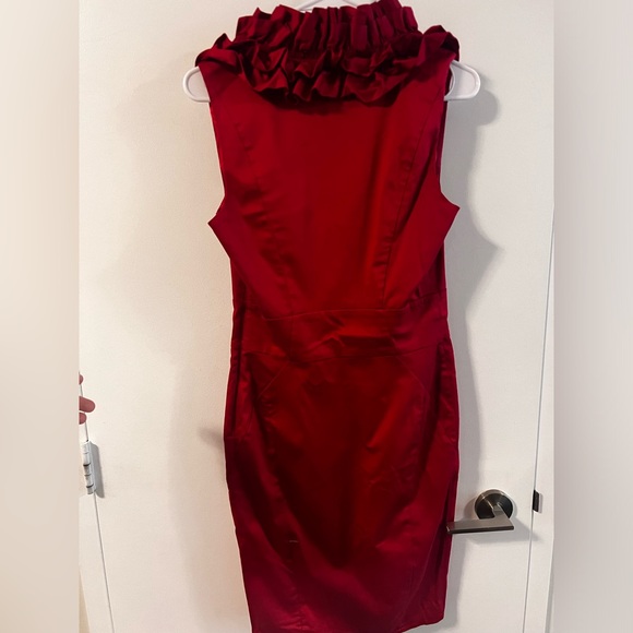 Ted baker dress - Picture 3 of 4